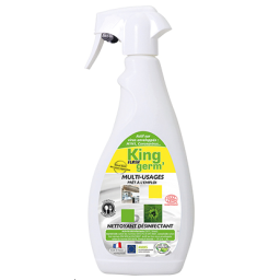 FLASH GERM DEGRAISSANT 750ML KING