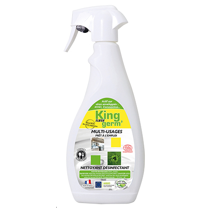 FLASH GERM DEGRAISSANT 750ML KING